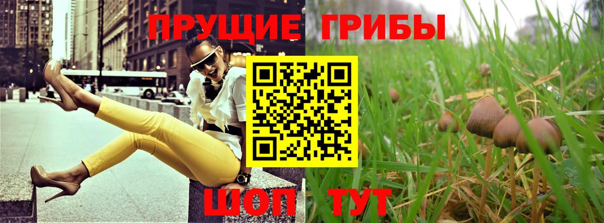 Псилоцибиновые грибы Psilocybine cubensis  Галлюциногенные грибы Psilocybine cubensis  Сыктывкар  Вход с VPN 